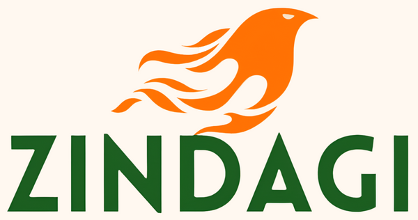 Zindagi 2.0